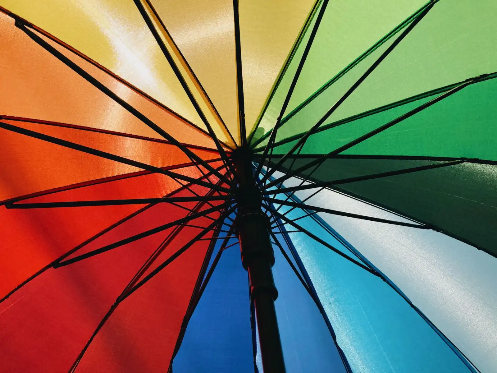长三角自驾游车载冰箱选购实用指南