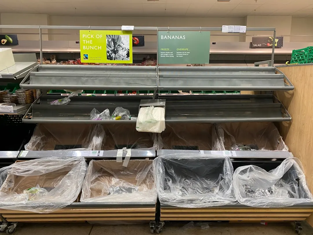 车载充气泵与车载吸尘器选购指南：上海车主必备的实用车载电子产品清单